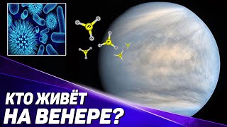 Кто живет на Венере? Загадка фосфина