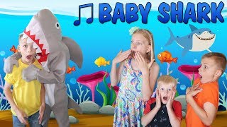 Baby Shark || Family Fun Pack Style