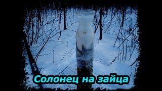 Солонец на зайца. Эксперимент № 1. Тест снаряжение. Герморюкзак. Orlan.