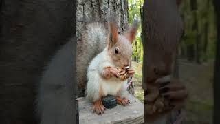 Сидим кушаем