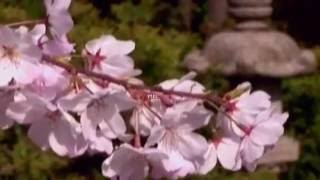 Antonio Vivaldi.- Four Seasons.