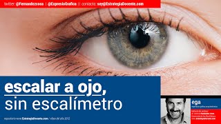 Escalar sin escalímetro. El dibujo a escala a mano alzada. Expresión Gráfica
