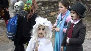 Caparskiot karneval postar i od vevcanskiot 14 01 2011
