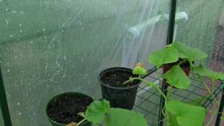 Pluie et orage léger au Jardin sous toit (serre) 2 heures - Rain sounds Garden roof (2 hours) - ASMR