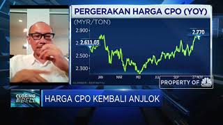 Malaysia Tak Perpanjang Pembebasan Pajak Sawit, Ini Dampaknya Bagi RI