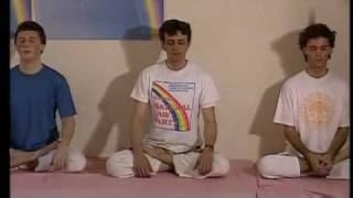 Naturgesetzpartei - Yogi Flieger 1995