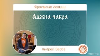 Аджна чакра. Андрей Верба