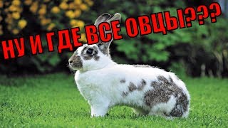 [Warcraft TFT] НАПИКАЛИ ИМБУ в ОВЦЫ ПРОТИВ КРОЛИКОВ!!!