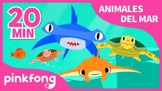 Mejores Canciones de Animales del Mar | Tiburón y más música infantil | +Recopilación | Pinkfong