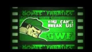 ФК-Гомель-Около футбола-(GWF)