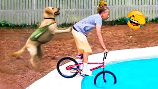 Best Funny Animal Videos 2022 - Funniest Cats And Dogs Videos