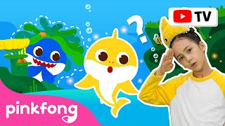 ¿Dónde Está Tiburón Papá? | Pinkfong Canta & Baila | Canciones ​Infantiles