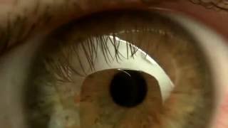 Футаж глаза мутно-зеленого цвета [Eyes # 2]
