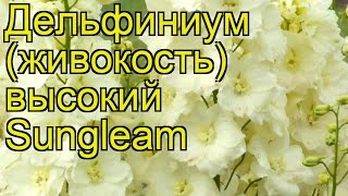 Дельфиниум высокий Санглим. Краткий обзор, описание характеристик, где купить саженцы