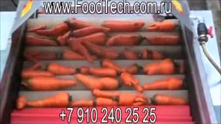 мойка моркови оборудование