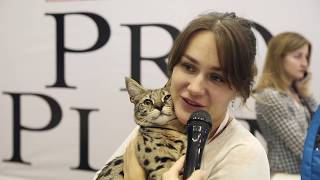 Международная выставка кошек Гран-При Purina Pro Plan 2017