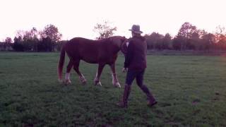 Groundwork with Reuben