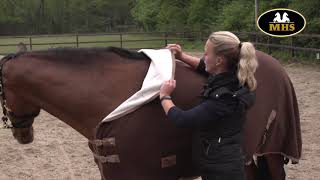 Harry's Horse | Teddyfleece rug 1/2 neck