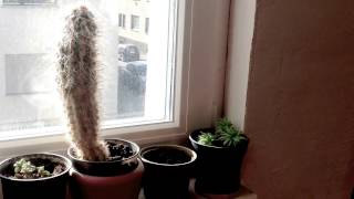 Как восстановить откосы. Своими руками. Быстро, просто, дёшево.