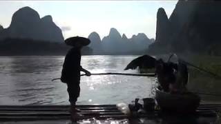 РЫБАЛКА С БАКЛАНАМИ. КИТАЙ. © China. Fishing travel. Cormoran.