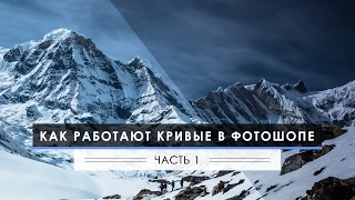 Кривые в Фотошопе: Работа с яркостью и контрастом