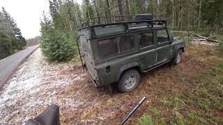 Охота #141 загонная на номере, кабаны, лоси