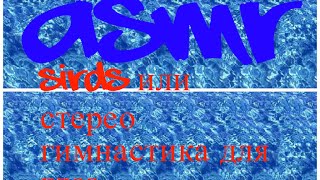 ASMR SIRDS или стерео гимнастика для глаз