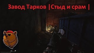 Завод Тарков |Стыд и срам |А как все хорошо начиналось | Escape from Tarkov|