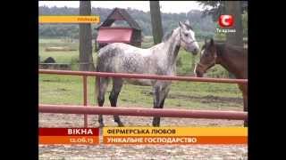 Усадьба Баборувка, Польша