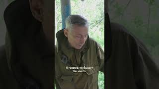 Храбрые лемминги. Лапландский заповедник.