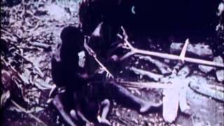 Pygmies, 1970's - Film 30868