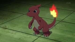 Pokédex - Glutexo