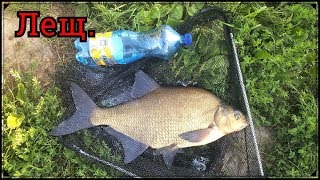 Лещ на фидер. У Эдгара трофей - 2.105 кг. Лиелупе. (Часть 2)