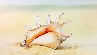 Watercolor Seashell Painting Demonstration