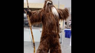 Indy PopCon 2017