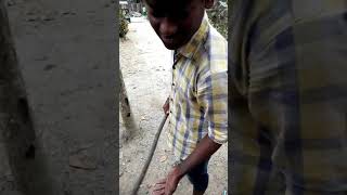 পোলাপানের আকাম না দেখলে মিস korben
