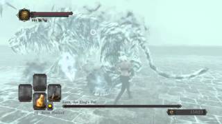 Dark Souls 2 - Soul Level 1 - Aava, The King's Pet (White Tiger) - No Healing