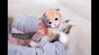 Почти живая игрушка - котенок Молли