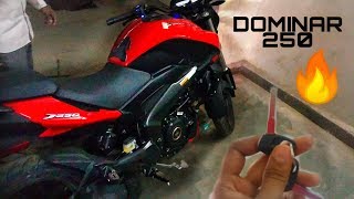 BS6 BAJAJ DOMINAR 250 First Look | Exhaust Sound