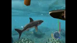 Jaws Unleashed-Gameplay.