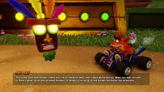 Обзор игры Crash Team Racing Nitro-Fueled Помчались в новые текстуры классической игры