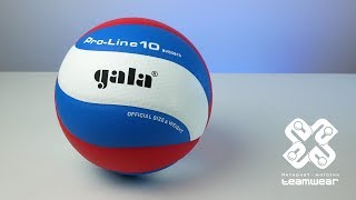 Обзор мяча GALA Pro Line 10 BV5581S | Teamwear.com.ua