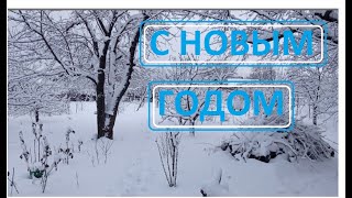 С НОВЫМ ГОДОМ РЕБЯТА !