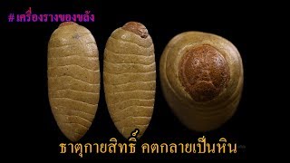 ?EP3: ธาตุกายสิทธิ์ คตกลายเป็นหิน
