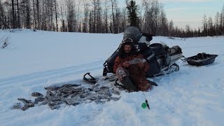 Ловля Хариуса на мормышку(04.0..2016)