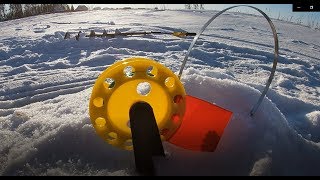 Жерлицы! Супер Снасть! Щука на жерлицы! Мой первый опыт.