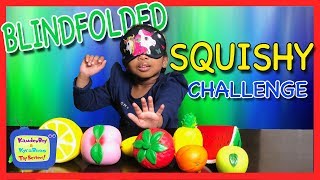 BLINDFOLD SQUISHY CHALLENGE : Kyra takes the  FRUIT Challenge