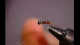 pheasent tail nymph