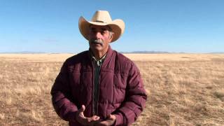 Consevación de pastizales del Desierto Chihuahuense/ Chihuahuan Desert Grasslands Conservation