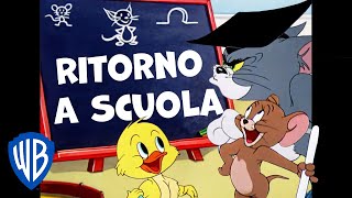 Tom & Jerry in italiano ???????? | Ritorno a Scuola con il Vostro Duo Preferito 